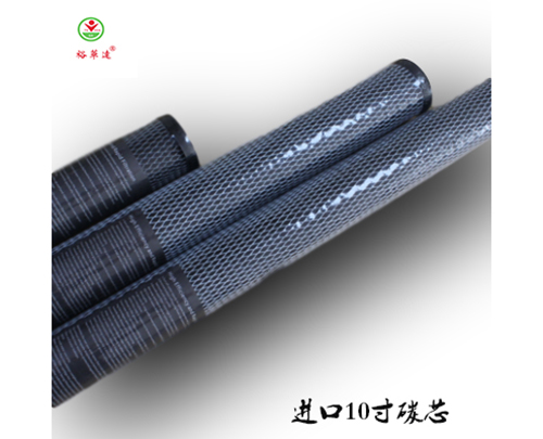 进口10寸碳心